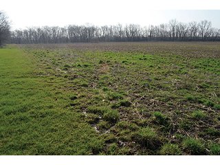 Property photo 8 - 77 +/- Acres Offered in 6 Tracts - Premier Estate Auction